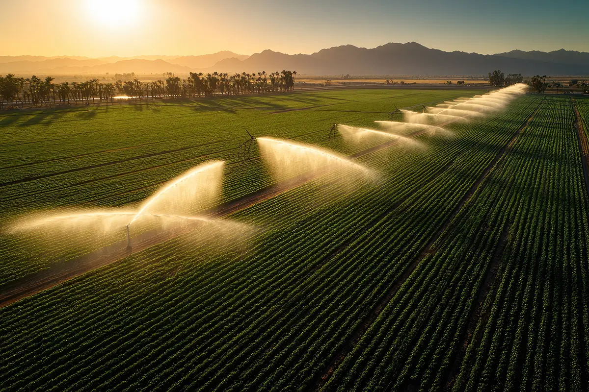agrimil-tech-srl-impianti-di-irrigazione-milano-piacenza