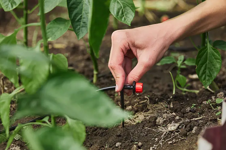 aspersione-e-fertirrigazione-agricola-su-misura