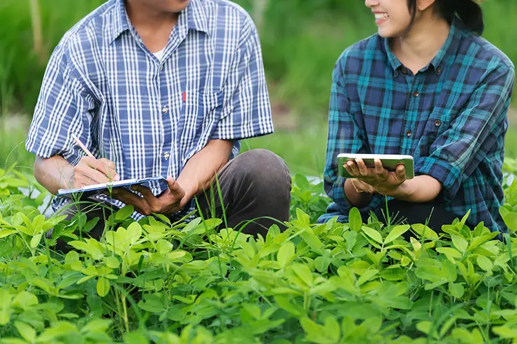 impianti-irrigazione-agrimil-tech-milano