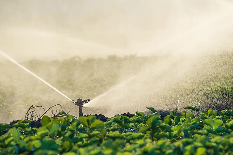 progettazione-impianto-agricolo-irrigazione