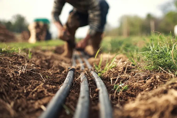 staff-di-tecnici-formati-e-competenti