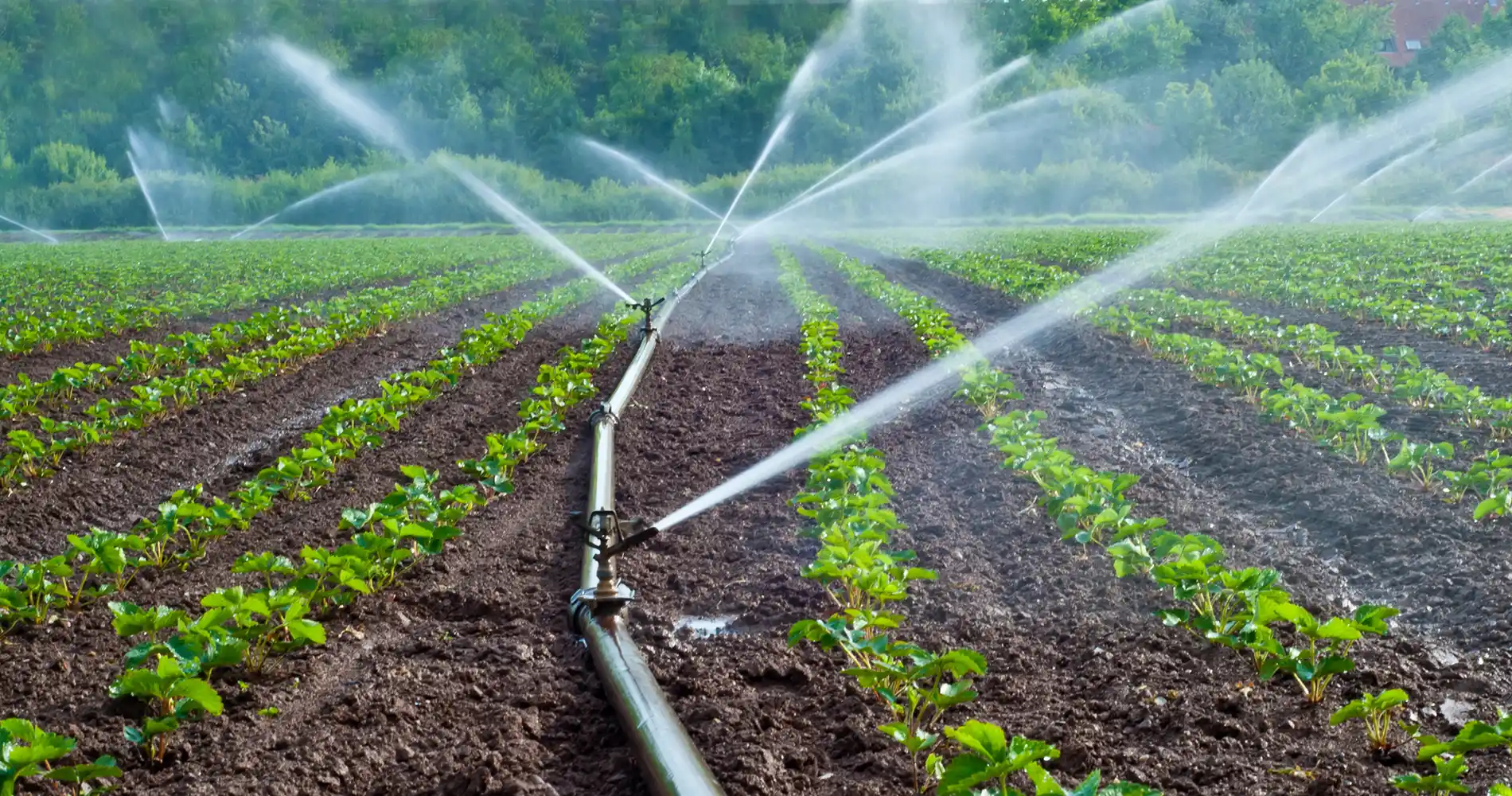 progettazione-di-impianto-irrigazione-su-misura